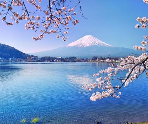 VIỆT NAM – TOKYO - YAMANASHI– PHÚ SĨ –TOKYO - VIỆT NAM