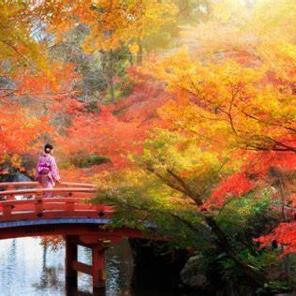 CUNG ĐƯỜNG VÀNG NHẬT BẢN 2025 SẮC THU LÃNG MẠN – TRẢI  NGHIỆM KHÓ QUÊN
