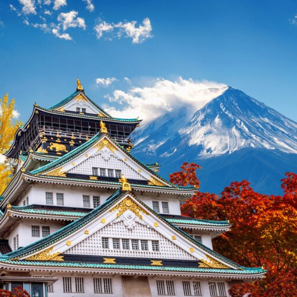 Tour Đi Nhật Bản 6 Ngày 5 Đêm: Nara – Osaka – Kyoto – Phú Sĩ – Tokyo No Shopping
