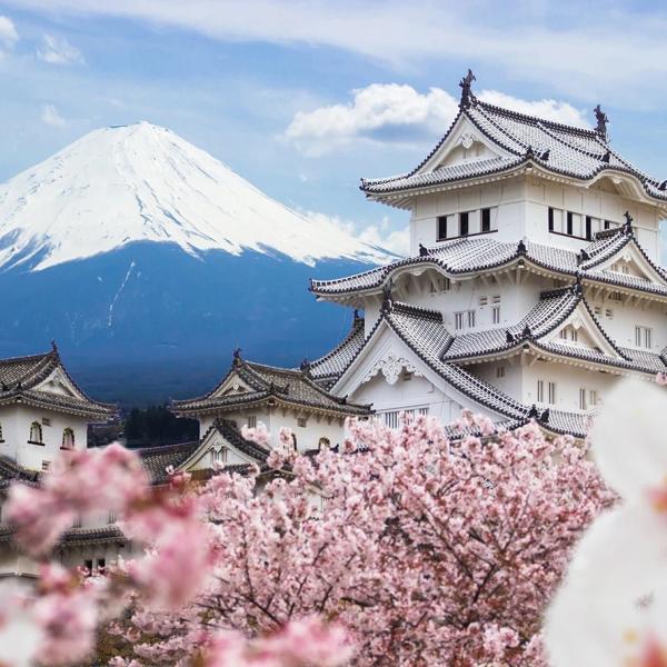DU LỊCH NHẬT BẢN MÙA HOA ANH ĐÀO 2024: OSAKA – KYOTO – PHÚ SỸ - TOKYO BAY VIETNAM AIRLINES