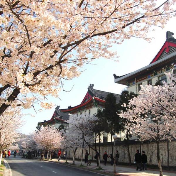 DU XUÂN XỨ ĐÀI: ĐỐT PHÁO HOA CHÀO MỪNG NĂM MỚI 2024 ĐÀI TRUNG - CAO HÙNG - ĐÀI BẮC - BAY CHINA AIRLINES