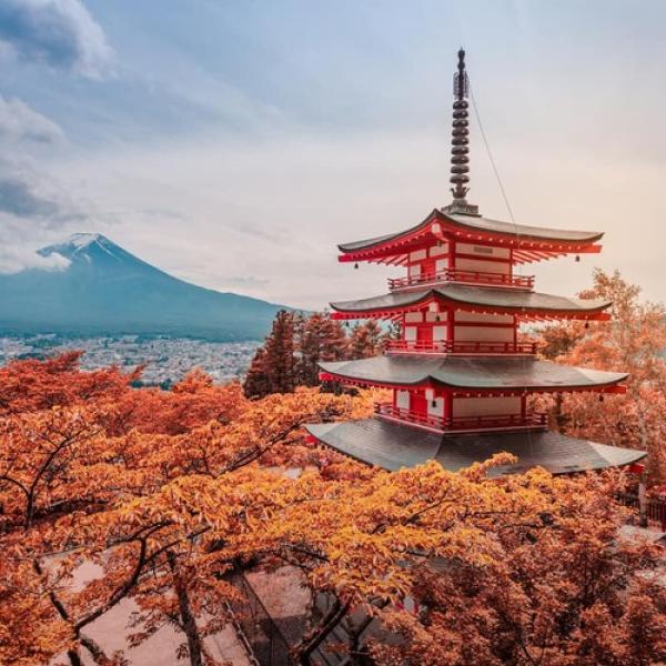Tour Du Lịch Nhật Bản Từ Hà Nội 6 Ngày 5 Đêm: Nagoya – Nara – Osaka – Kyoto – Núi Phú Sĩ – Tokyo