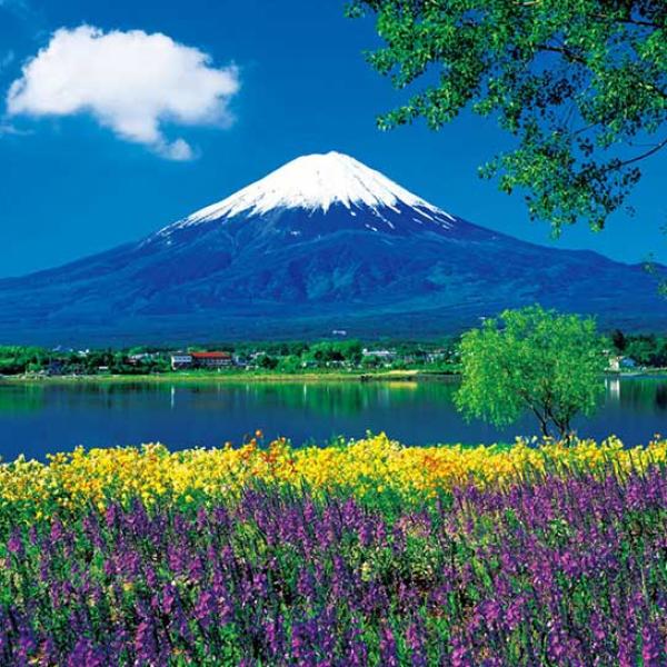 KHÁM PHÁ MÙA HÈ RỰC RỠ NHẬT BẢN HÀ NỘI- OSAKA –KOBE–NAGOYA- KYOTO – NÚI PHÚ SĨ – TOKYO BAY VIETJET AIR