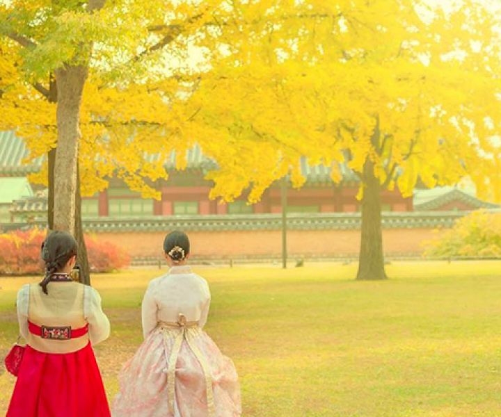KHÁM PHÁ MÙA THU VÀNG “XỨ SỞ KIM CHI” HÀN QUỐC: HÀ NỘI- SEOUL- NAMI – EVERLAND -HÁI TÁO BAY VIETNAM AIRLINES (BAY TRƯA - TRƯA) 