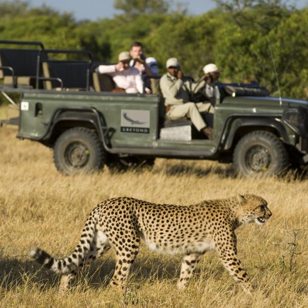 MỘT QUỐC GIA, HAI THẾ GIỚI HOANG DÃ TRỌN BỘ SAFARI TRONG MỘT ĐIỂM ĐẾN! CHƯƠNG TRÌNH NAM PHI HẤP DẪN NHẤT 2026 BAY SINGAPORE AIRLINES