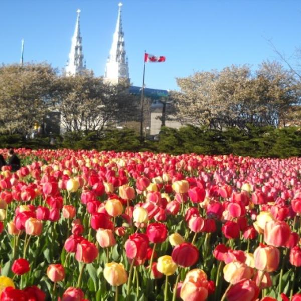 TOUR DU LỊCH CANADA: VANCOUVER  - ĐẢO VICTORIA – VƯỜN HOA BUTCHART – CẦU TREO KAPIOLANI – MONTREAL – QUEBEC CITY – OTTAWA  NGÀN ĐẢO – TONRONTO – THÁC NƯỚC NIAGARA 11N10Đ