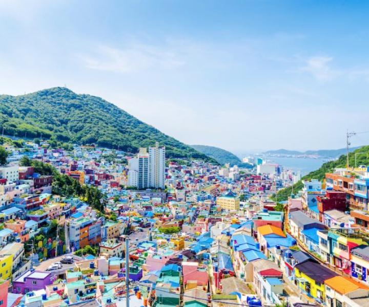 TOUR DU LỊCH ĐÓN TẾT CANH TÍ: DAEGU - BUSAN 5N4Đ BAY TW