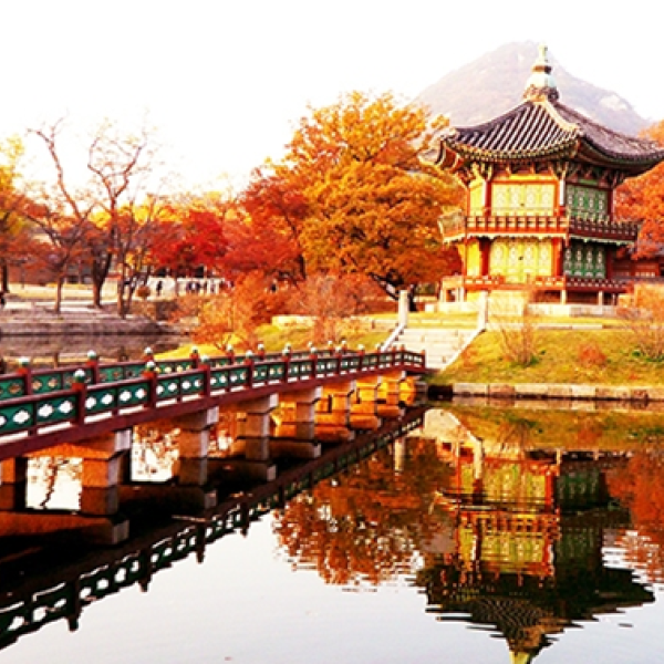 TOUR DU LỊCH HÀN QUỐC: SEOUL – ĐẢO NAMI – CÔNG VIÊN EVERLAND 5 NGÀY BAY JEJU AIR