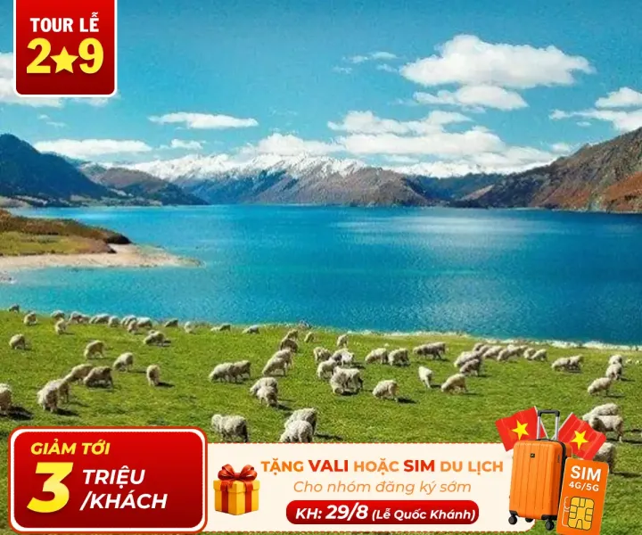 Tour Du Lịch New Zealand 7 Ngày 6 Đêm Khám Phá Đảo Bắc