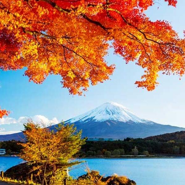 Tour Nhật Bản mùa thu 6N5D: Osaka - Phú Sĩ - Tokyo