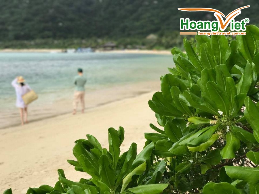 Hãy bớt chút thời gian đến ngay Six senses Ninh Vân Bay khám phá thôi nào