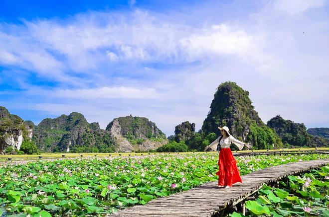 Đầm sen Ninh Bình nở đẹp rực rỡ, chị em lên lịch "bung lụa" cuối tuần