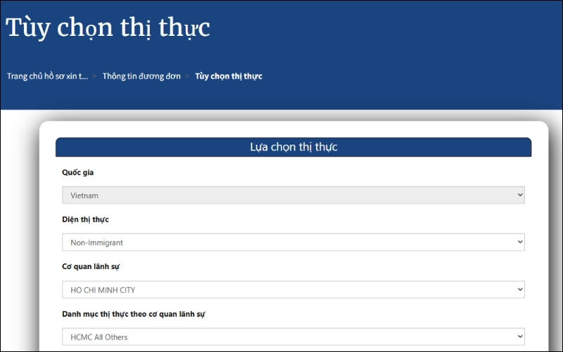Giao diện Tùy chọn thị thực Hoa Kỳ gồm các trường chọn Quốc gia, Diện thị thực, Cơ quan lãnh sự và Danh mục thị thực