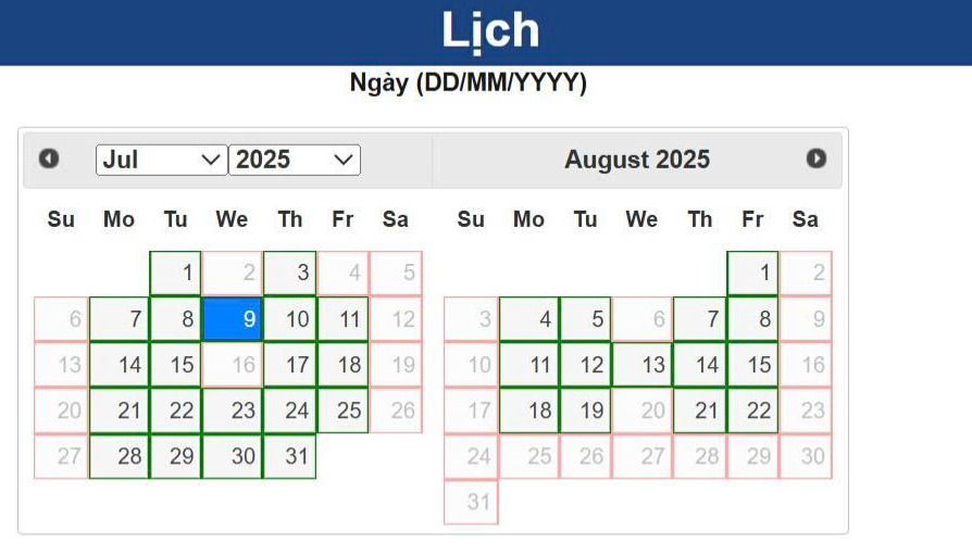 Giao diện lịch chọn ngày phỏng vấn visa Mỹ hiển thị các ngày có ô viền xanh