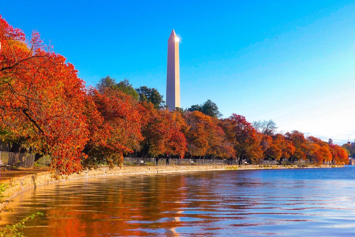 Hồ Tidal Basin mùa thu ở Washington, D.C. với hàng cây lá đỏ cam rực rỡ và Đài tưởng niệm Washington bên hồ.