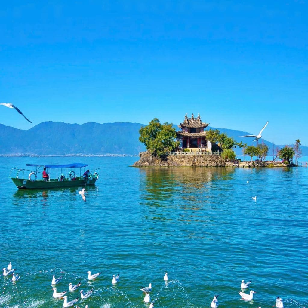 Đền cổ trên đảo Tiểu Phổ Đà giữa hồ Nhĩ Hải, một chiếc thuyền nhỏ chở khách và đàn hải âu lượn bay trên mặt nước xanh biếc