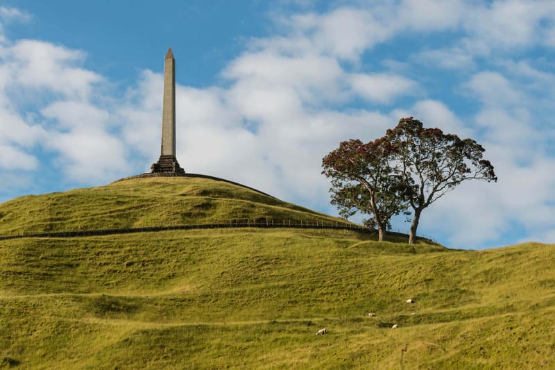 Đài kỷ niệm obelisk trên đỉnh đồi One Tree Hill phủ cỏ xanh cùng tán cây lớn và đàn cừu gặm cỏ phía dưới