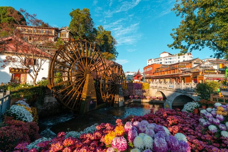 Một khung cảnh sống động của cối xay nước truyền thống được bao quanh bởi những bông hoa rực rỡ sắc màu ở Lijiang, Trung Quốc. Những công trình kiến ​​trúc cổ kính và cây cầu đá dưới bầu trời trong xanh tạo nên một bầu không khí thanh bình, đẹp như tranh vẽ.