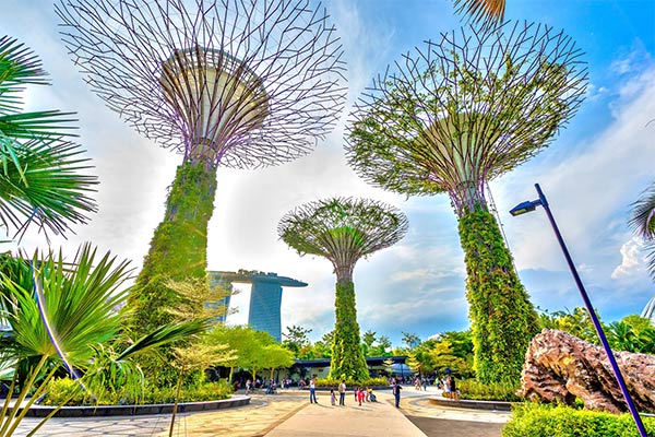 Bí ẩn bên trong khu vườn sinh thái Bay South Garden khổng lồ
