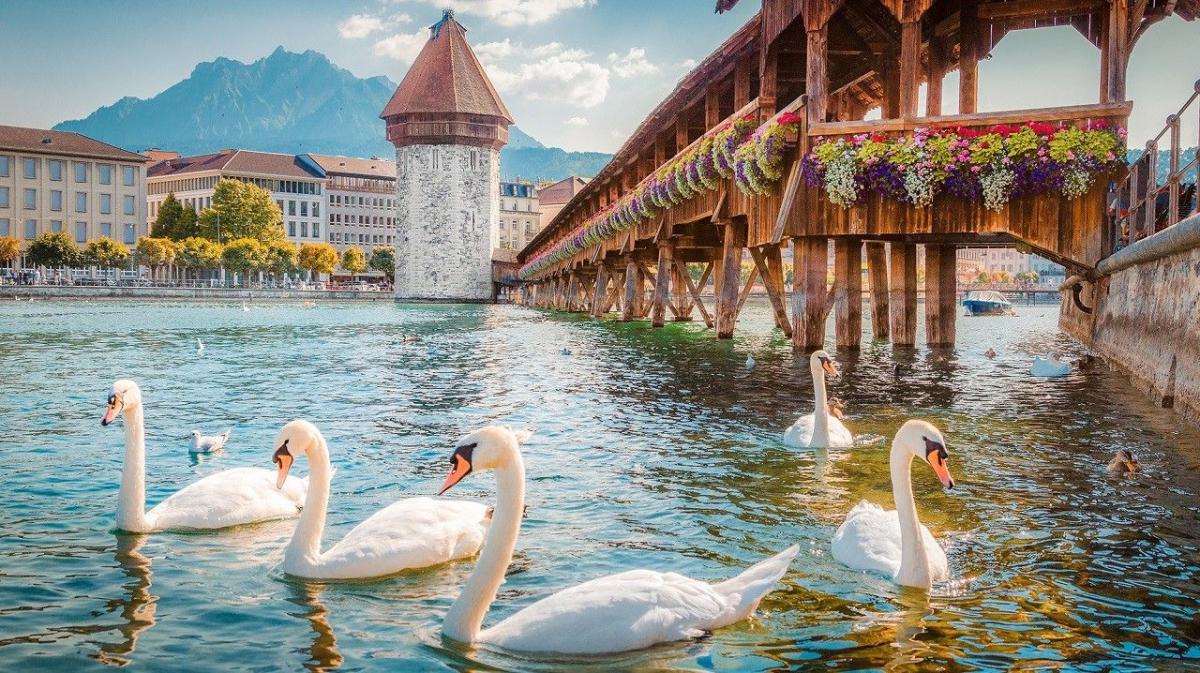 chi phí đi du lịch thụy sĩ mùa thu - hoàng việt travel