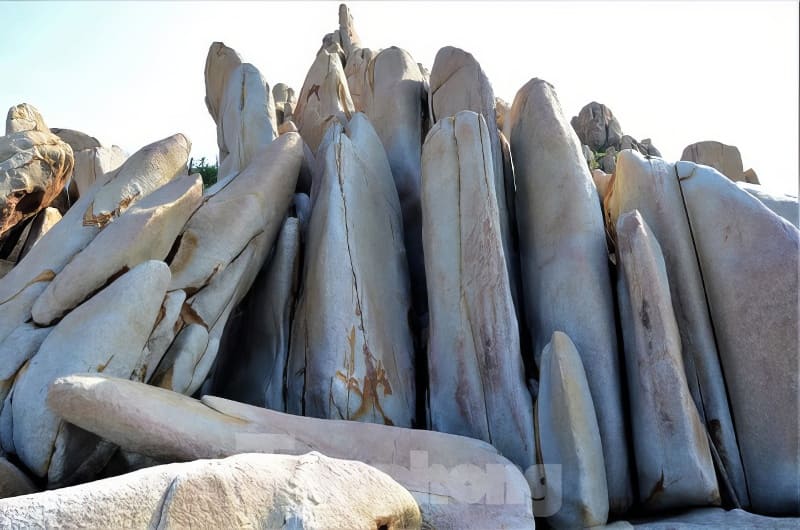 Những khối đá cao và hẹp đứng sát nhau dưới bầu trời trong xanh, phô diễn những đặc điểm và kết cấu địa chất độc đáo.