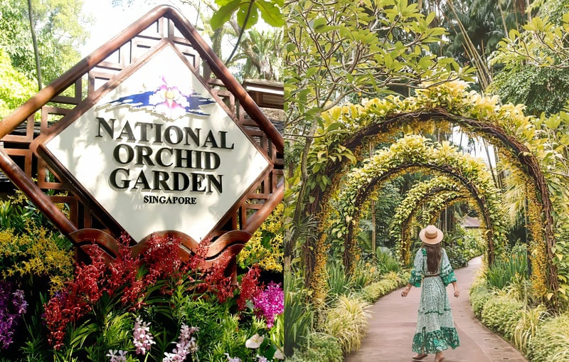 Các biển chỉ dẫn tại Vườn Lan Quốc gia Singapore được bao quanh bởi những đóa lan rực rỡ sắc màu. Một người phụ nữ mặc váy và đội mũ màu xanh lá cây đang đi bộ dưới những vòm cây xanh tươi tốt.