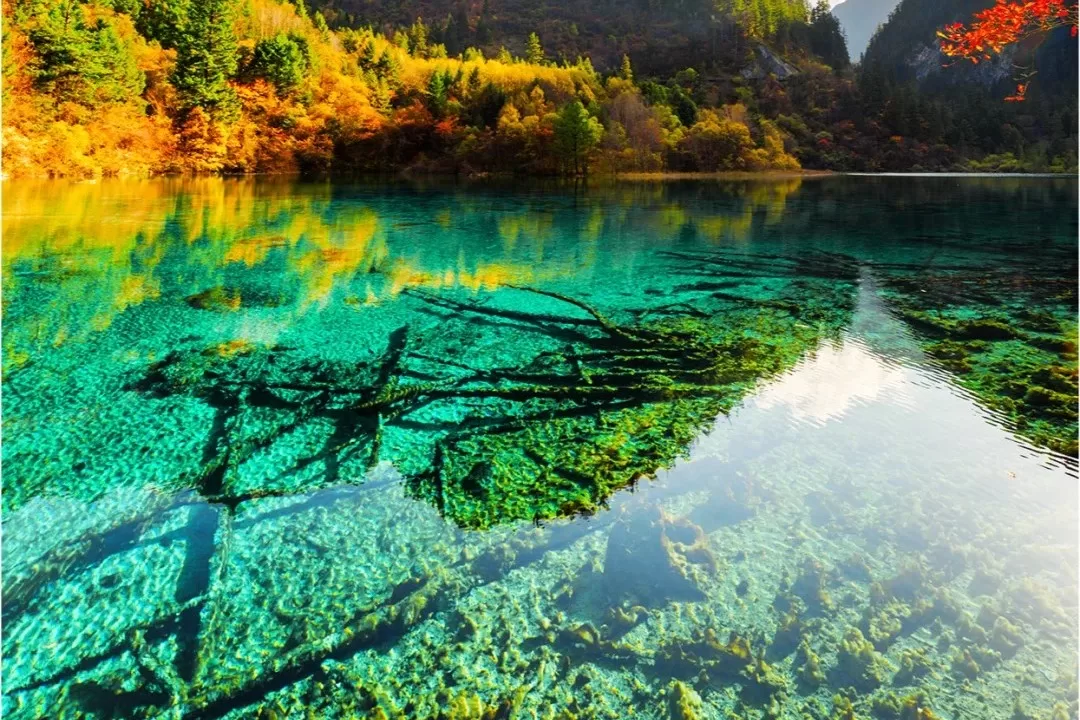 thung lũng thụ chính câu - hoàng việt travel