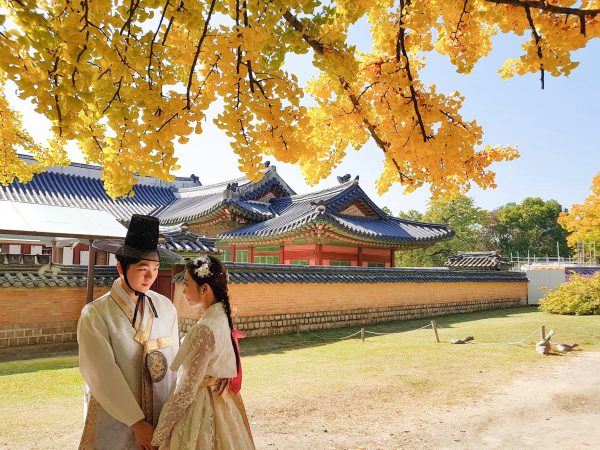 cung điện Gyeongbokgung - hoàng việt travel