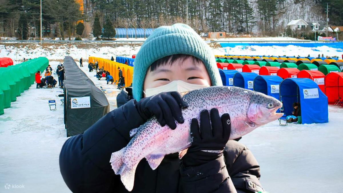 du lịch hàn quốc tết nguyên đán - hoàng việt travel