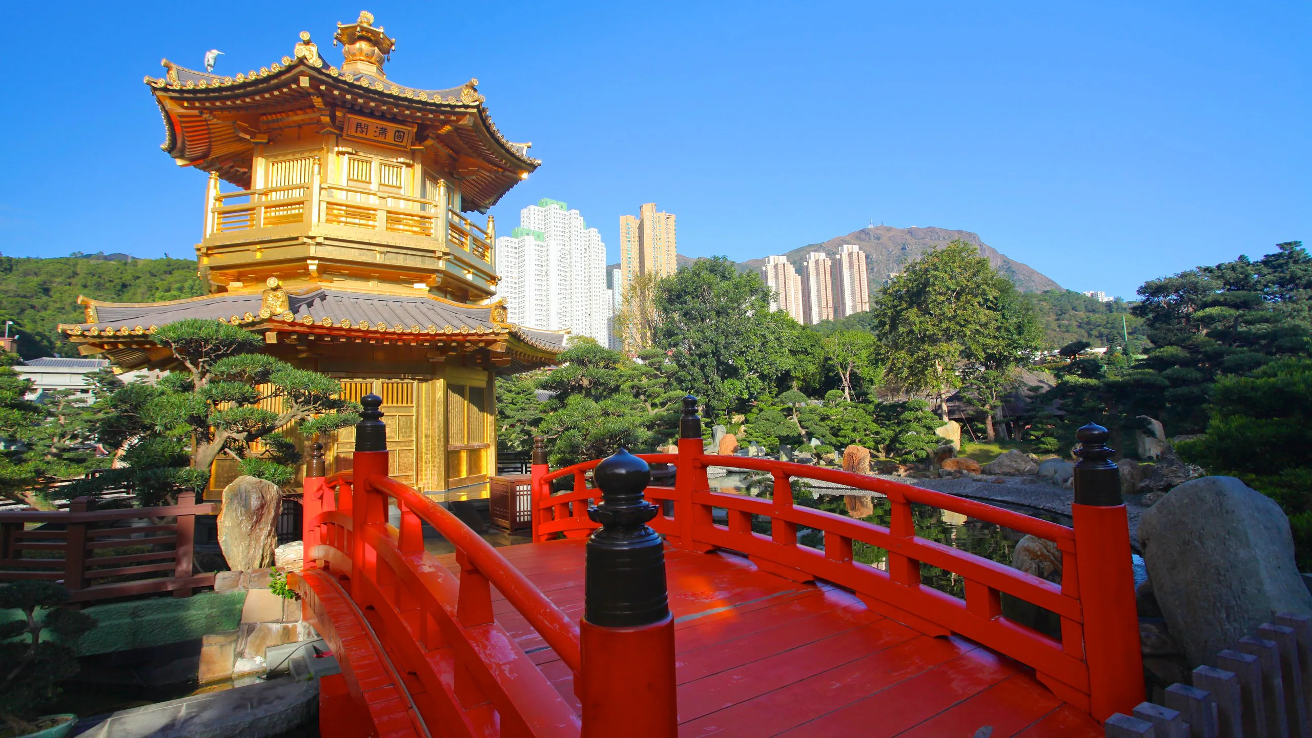 Vườn Nam Liên tại Cửu Long Đông