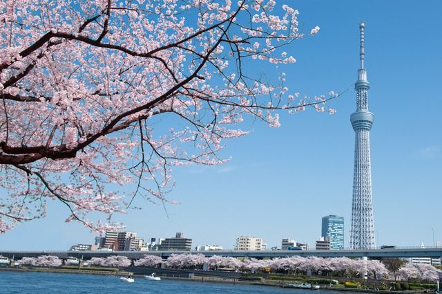 Tháp tokyo skytree Nhật Bản - Tháp truyền hình cao nhất thế giới