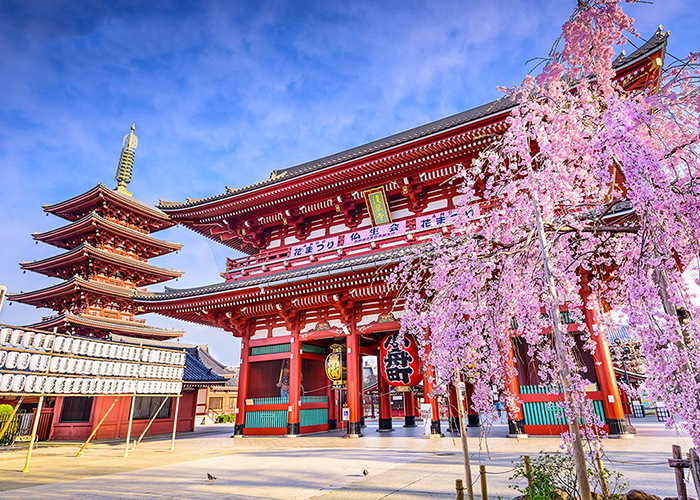Khám phá ngôi đền cổ Asakusa Kannon nổi tiếng nhất Nhật Bản