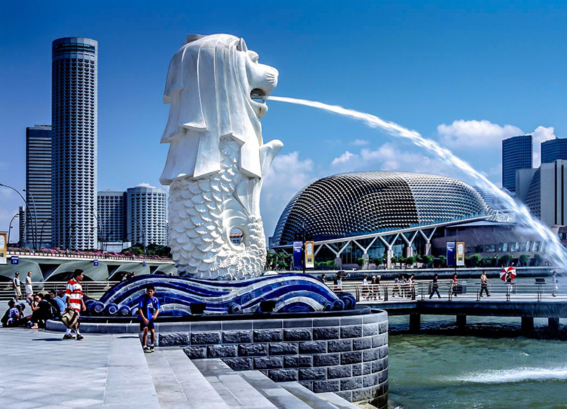 Khám phá công viên sư tử biển
