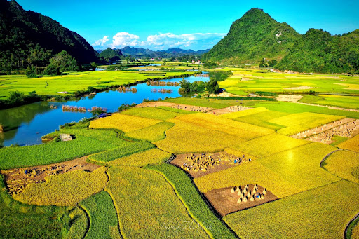 Cao Bằng mùa lúa chín - du lịch Tây Bắc - hoàng việt travel