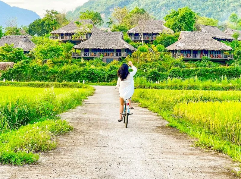 Mai Châu mùa lúa chín - du lịch Tây Bắc - hoàng việt travel