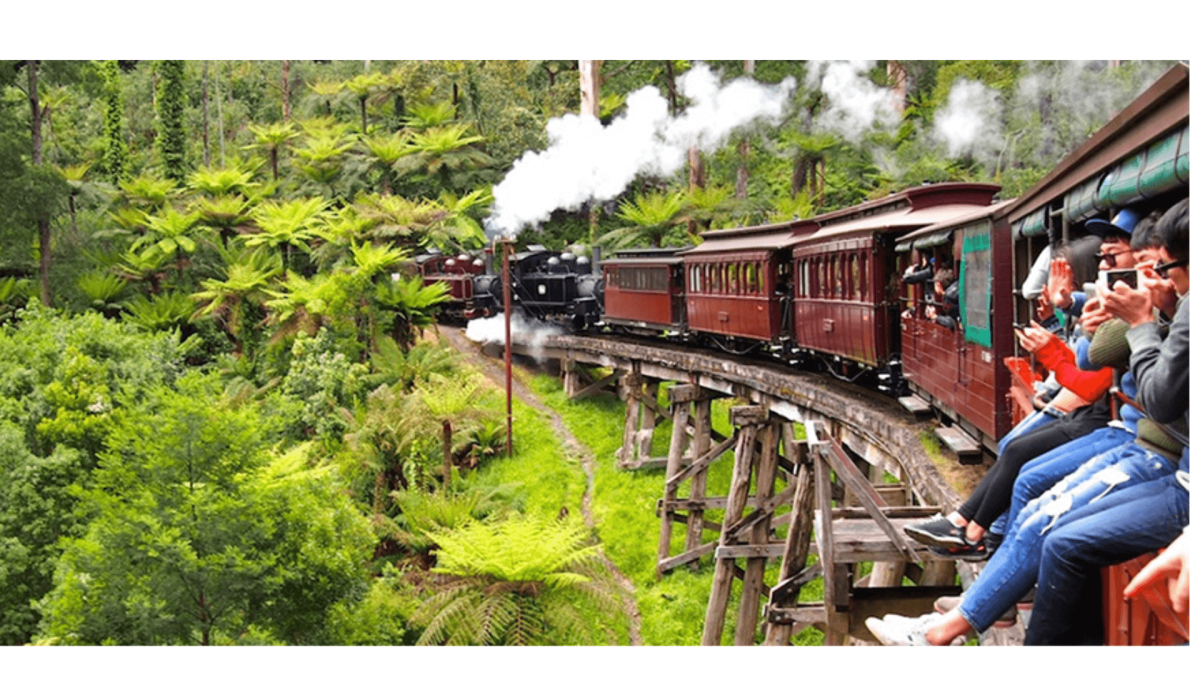 Trải nghiệm tàu lửa hơi nước puffing billy - hoàng việt travel