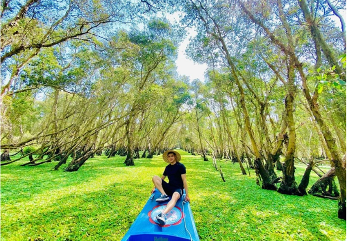 Khám phá rừng tràm Trà Sư An Giang – 'tuyệt phẩm' của tạo hóa