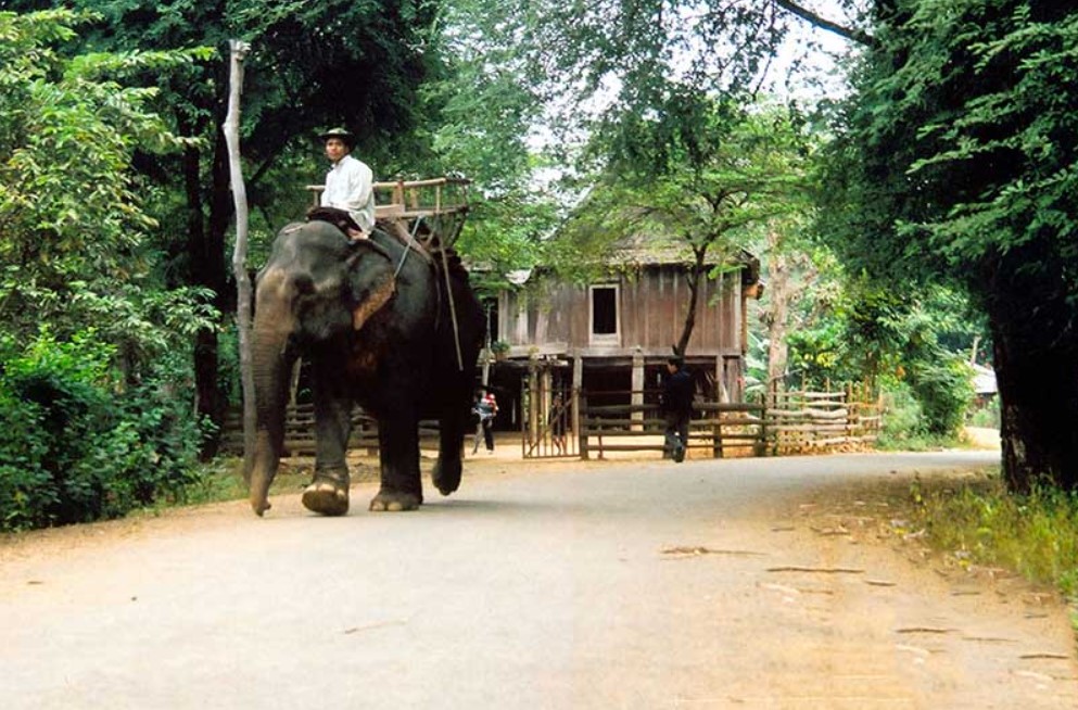 Buôn Đôn Buôn Ma Thuột - Đắk Lắk, Việt Nam