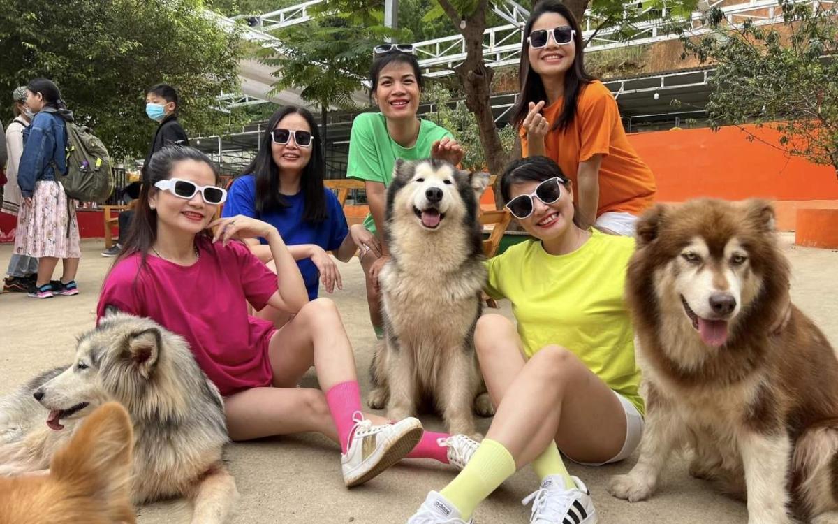 Nông trại cún Puppy Farm - Trại cún siêu dễ thương ở Đà Lạt