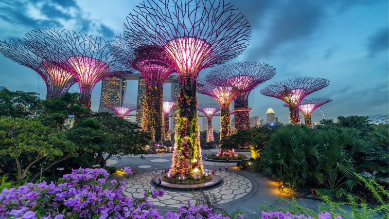 Lưu ý những mốc thời gian Gardens By The Bay bảo trì - BestPrice - BestPrice