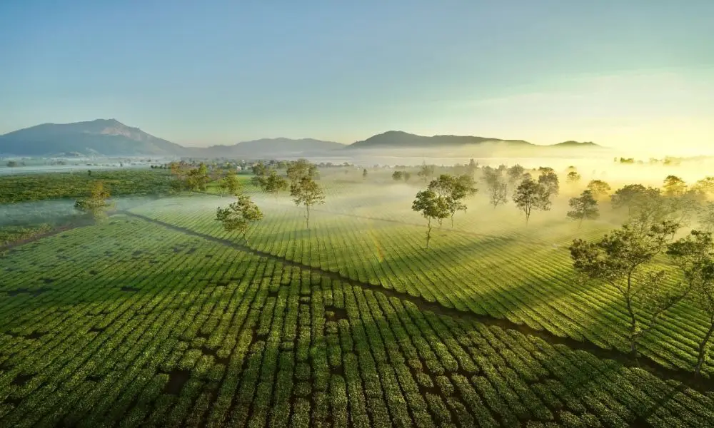 Biển Hồ Chè với 5 ấn tượng thú vị