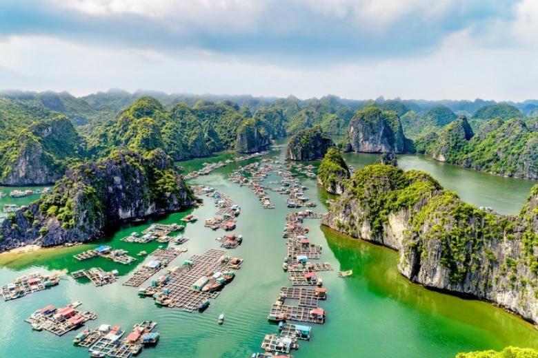 Hà Nội - Cát Bà - Đảo Khỉ 2N1Đ