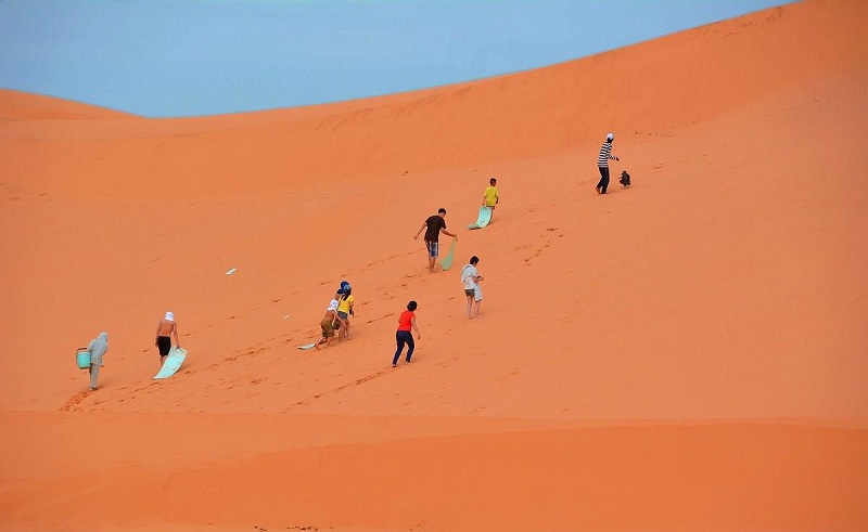 Đồi Hồng Phan Thiết 