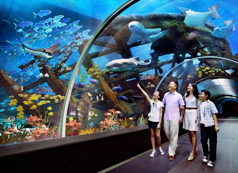 Các thủy cung lớn ở Nha Trang – Thiên đường của tụi nhỏ