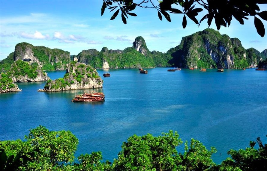 Bí ẩn Vịnh Hạ Long và loài sinh vật khổng lồ gây khiếp sợ