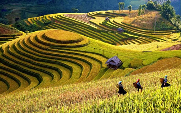 La Pán Tẩn - Du lịch khám phá "đỉnh trời" Mù Căng Chải