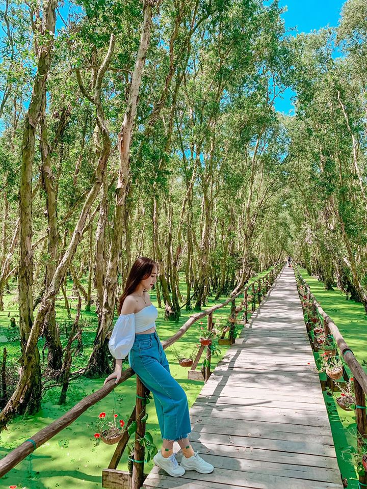 Rừng Tràm Trà Sư - Hướng dẫn du lịch Rừng Tràm Trà Sư An Giang