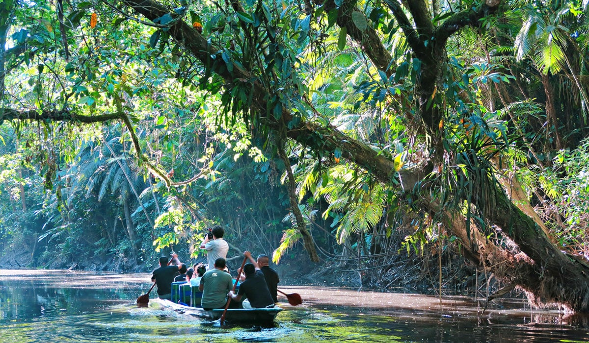 Rừng Amazon