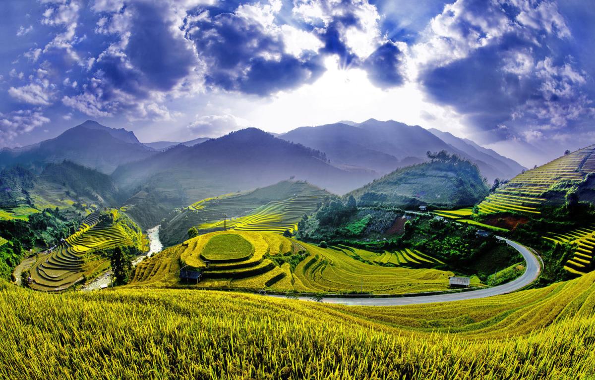 Ruộng bậc thang xã Chế Cu Nha đẹp tuyệt sắc mỗi khi mùa vàng gõ cửa