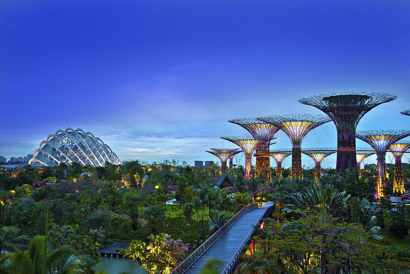 GARDENS BY THE BAY - KHU VƯỜN ĐẸP XINH BÊN BỜ VỊNH